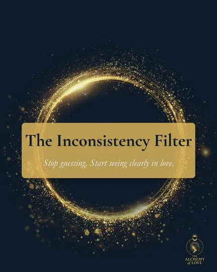 The Inconsistency Filter cover